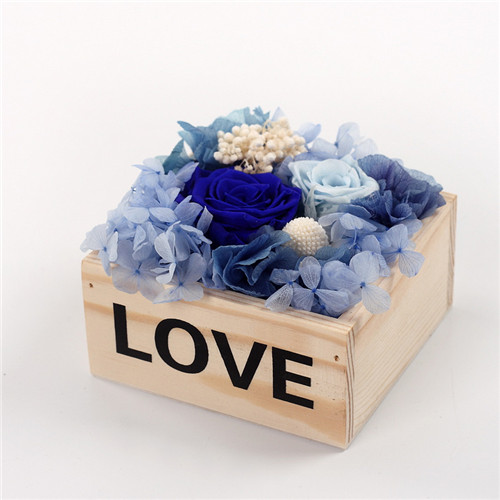 sɱrrľlove{
