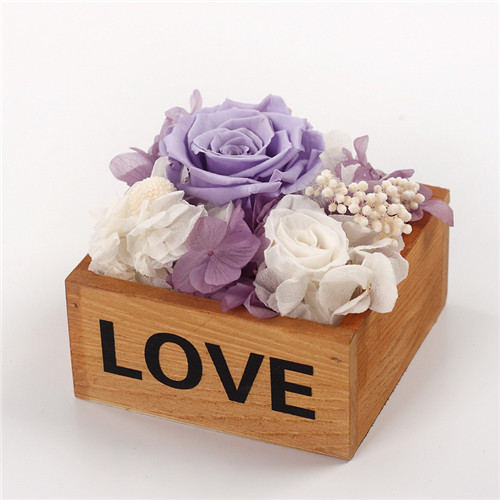 LSrrľlove\