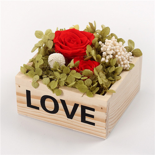 ĳǖ|^rrľlovet