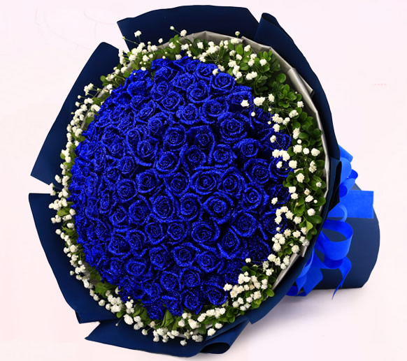 pP_l(f)^(q)-ͻ